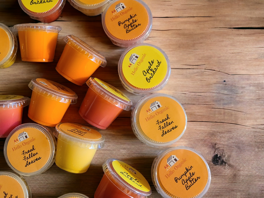 Fall Scented Mini Wax Melt Cups 1 OZ Choose from 10 Scents